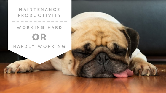 Maintenance Productivity – Working Hard or Hardly Working?