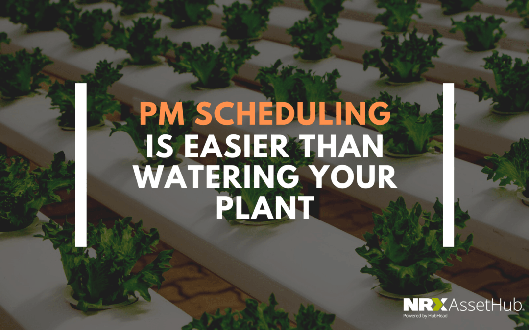 PM Scheduling is Easier than Watering Your Plant
