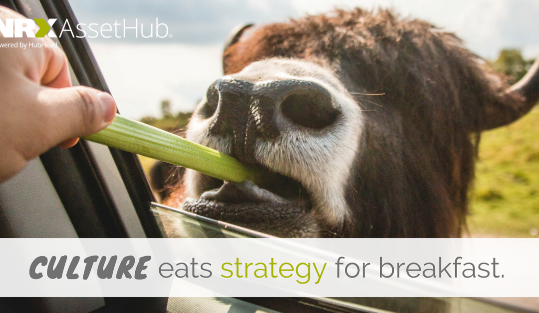 Culture eats Strategy for Breakfast