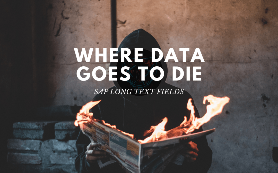 SAP Long Text Fields – Where Data Goes to Die