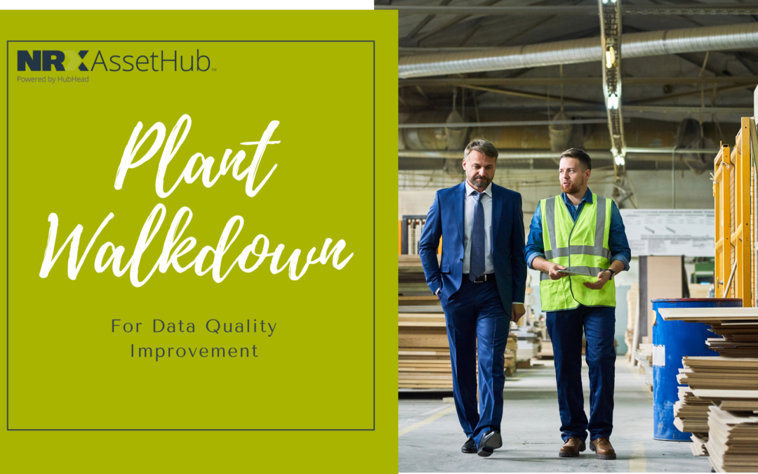 Plant Walkdown for Data Quality Improvement